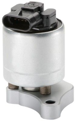 EGR Valve HELLA 6NU 010 171-061