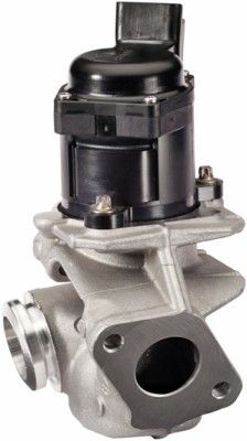 HELLA 6NU 010 171-121 EGR Valve