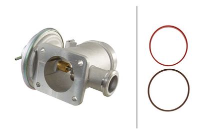 EGR Valve HELLA 6NU 010 171-691