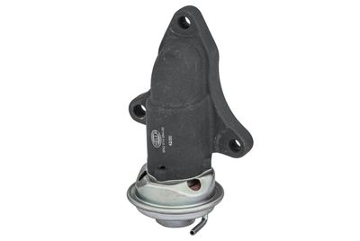 EGR Valve HELLA 6NU 014 864-581
