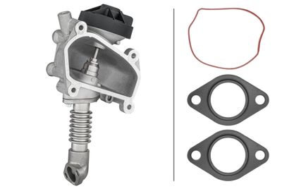 EGR Valve HELLA 6NU 014 864-641