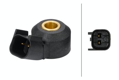 Knock Sensor HELLA 6PG 009 108-821