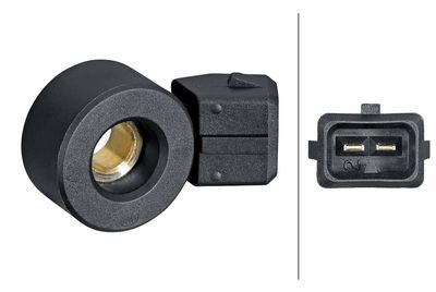 Knock Sensor HELLA 6PG 013 114-571