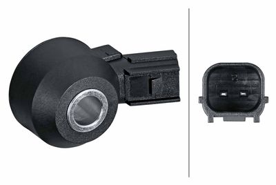 Knock Sensor HELLA 6PG 013 114-701
