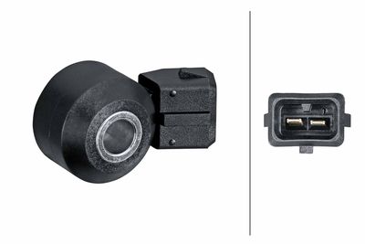 Knock Sensor HELLA 6PG 013 114-771