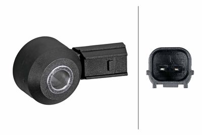 Knock Sensor HELLA 6PG 013 114-781