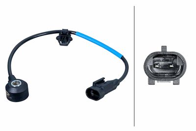 Knock Sensor HELLA 6PG 013 114-791