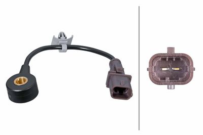 Knock Sensor HELLA 6PG 013 114-831
