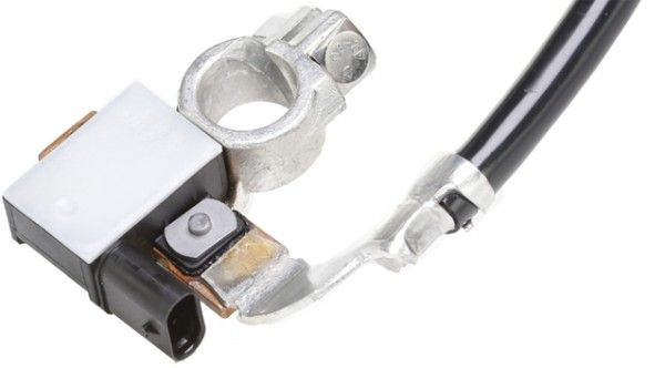 HELLA 6PK 010 562-911 Sensor, battery management