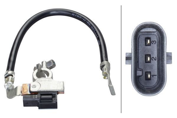 HELLA 6PK 010 562-921 Sensor, battery management