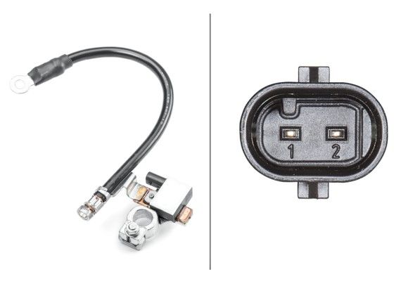 HELLA 6PK 011 190-901 Sensor, battery management