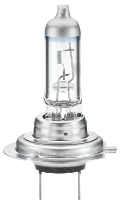 Bulb, headlight HELLA 8GH 178 560-491