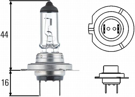 HELLA 8GH 178 560-493 Bulb, headlight