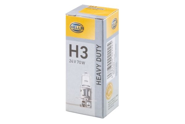 HELLA 8GH 002 090-251 Bulb, worklight