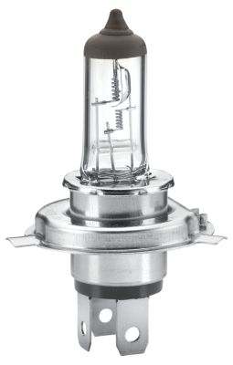 HELLA 8GJ 002 525-281 Bulb, spotlight