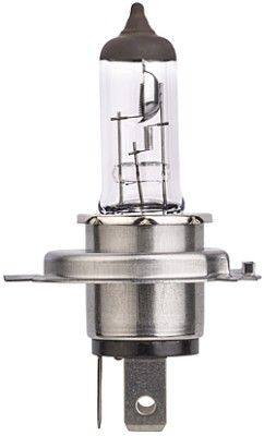 HELLA 8GJ 007 255-123 Bulb, headlight