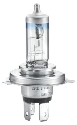 HELLA 8GJ 178 560-483 Bulb, headlight