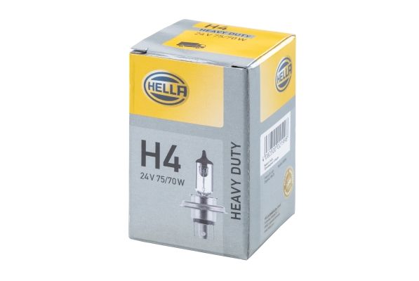 HELLA 8GJ 002 525-251 Bulb, spotlight