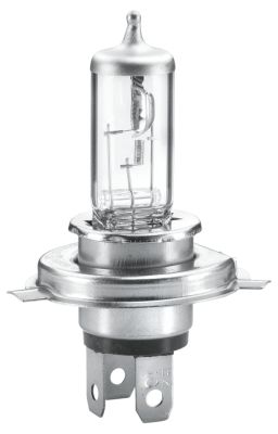 HELLA 8GJ 002 525-891 Bulb, headlight