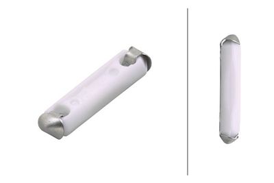 Fuse HELLA 8JS 025 889-801