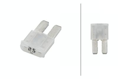 Fuse HELLA 8JS 218 229-052