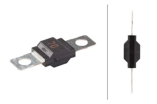 HELLA 8JS 742 901-031 Fuse