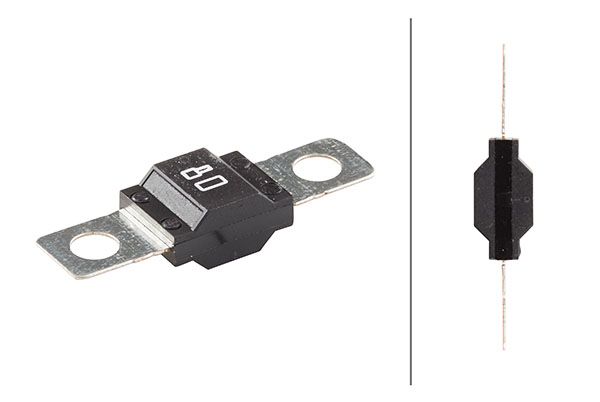 HELLA 8JS 742 901-041 Fuse