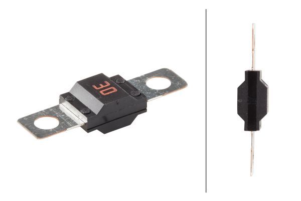 HELLA 8JS 742 901-061 Fuse