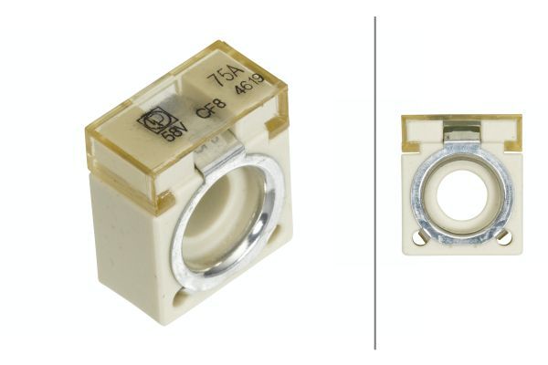 HELLA 8JS 747 876-011 Fuse
