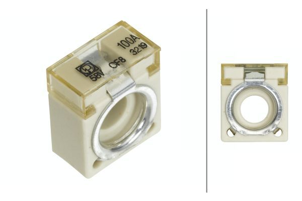 HELLA 8JS 747 876-021 Fuse