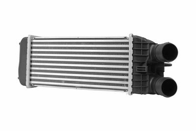 Charge Air Cooler HELLA 8ML 366 340-621