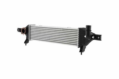 Charge Air Cooler HELLA 8ML 366 470-901