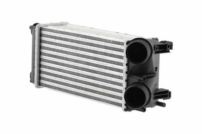 Charge Air Cooler HELLA 8ML 366 470-951