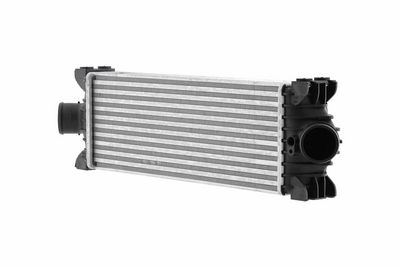 Charge Air Cooler HELLA 8ML 366 470-971
