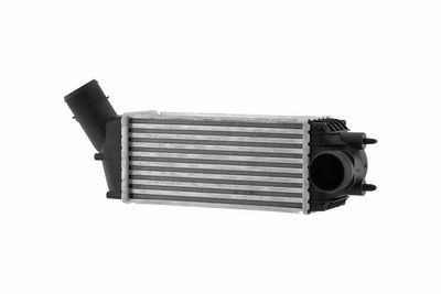 Charge Air Cooler HELLA 8ML 366 471-031