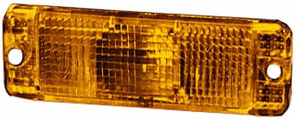 HELLA 9EL 116 771-031 Lens, direction indicator