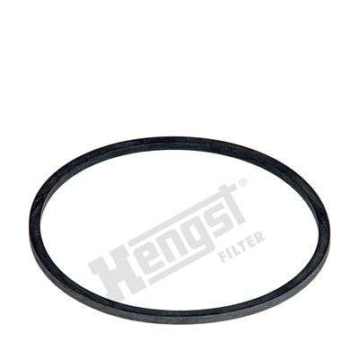 Seal HENGST FILTER D10