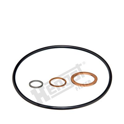 Seal HENGST FILTER D11