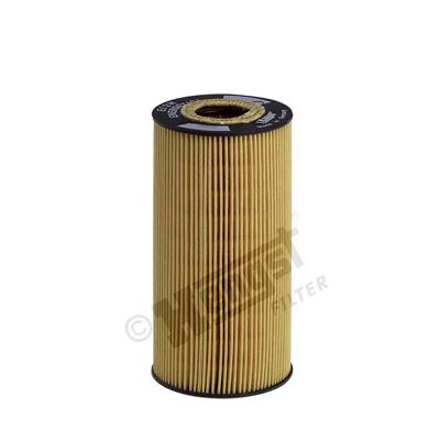 HENGST FILTER E12H D53 Oil Filter