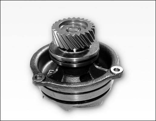 HEPU P1179 Water Pump, engine cooling