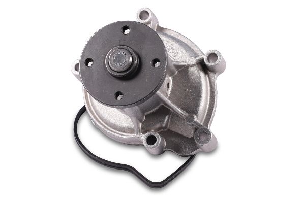 HEPU P1539 Water Pump, engine cooling