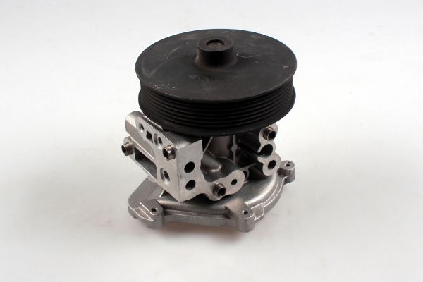 HEPU P260 Water Pump, engine cooling