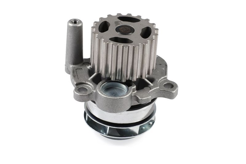 HEPU P550 Water Pump, engine cooling