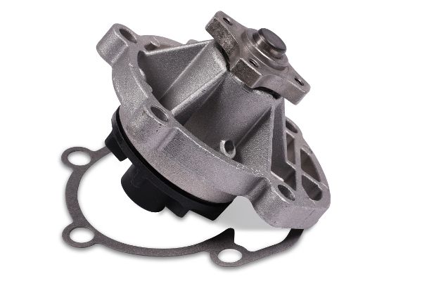 HEPU P602 Water Pump, engine cooling