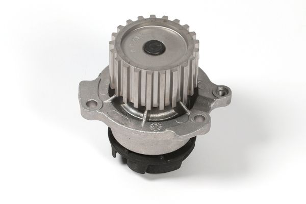HEPU P625 Water Pump, engine cooling