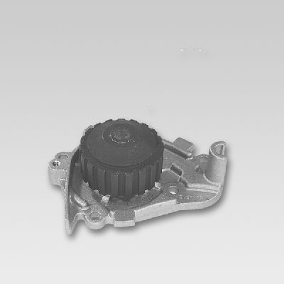 HEPU P739 Water Pump, engine cooling