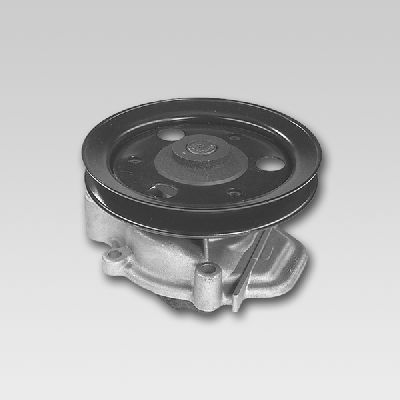 Water Pump, engine cooling HEPU P7801