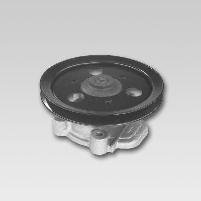 HEPU P787 Water Pump, engine cooling