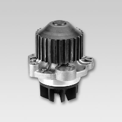 HEPU P802 Water Pump, engine cooling