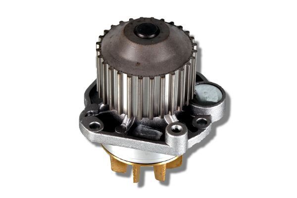 HEPU P805 Water Pump, engine cooling